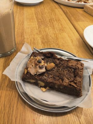 Brownie at botànic in Barcelona