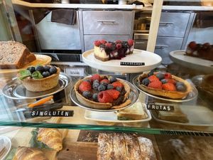   at botànic in Barcelona