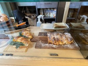   at botànic in Barcelona