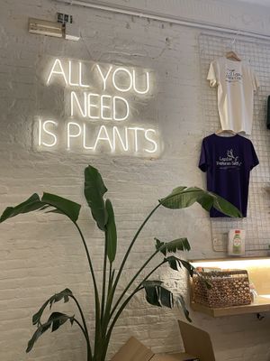   at botànic in Barcelona