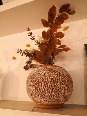 Loved these at botànic in Barcelona