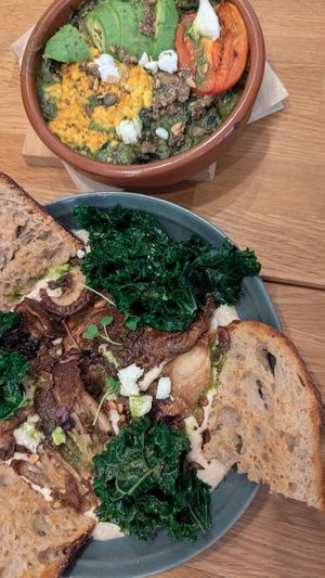 Invierno at botànic in Barcelona