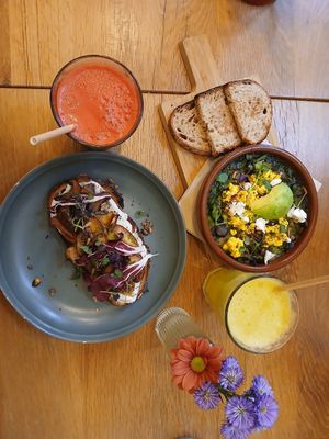 Zalig! at botànic in Barcelona