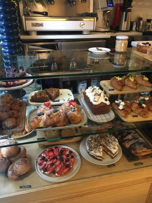 The disk!  at botànic in Barcelona