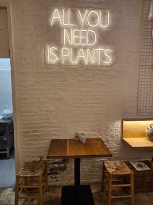  at botànic in Barcelona