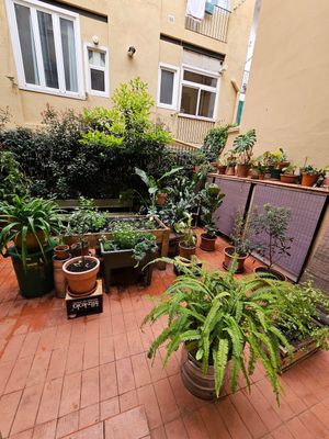  at botànic in Barcelona