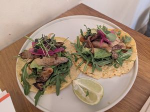  at botànic in Barcelona