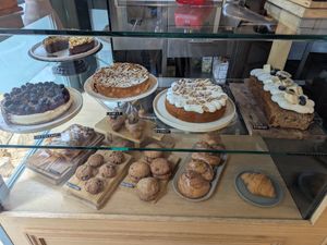  at botànic in Barcelona