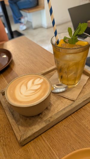  at botànic in Barcelona