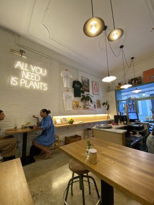   at botànic in Barcelona