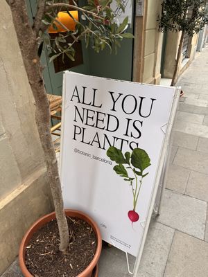   at botànic in Barcelona