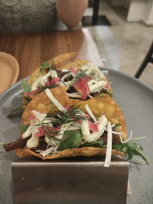 Tacos at botànic in Barcelona