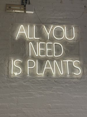   at botànic in Barcelona