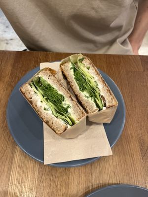   at botànic in Barcelona