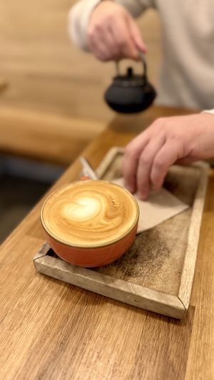   at botànic in Barcelona