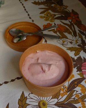 raspberry ice cream at Green Fika in Vimmerby