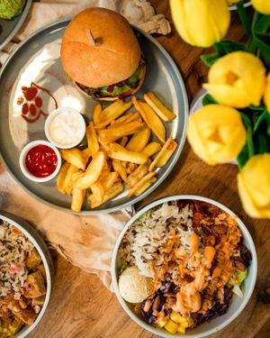   at Katzentempel Minden in Minden