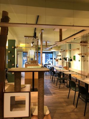   at Katzentempel Minden in Minden