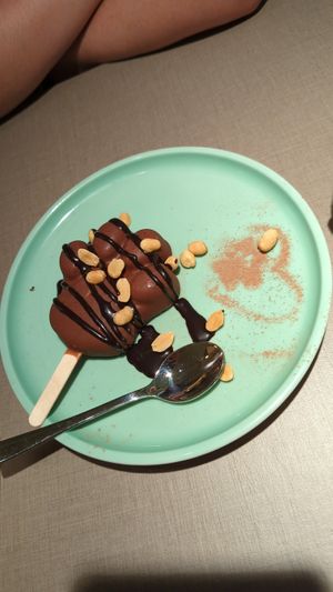  at Katzentempel Minden in Minden