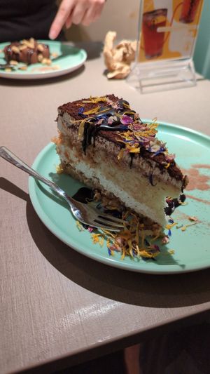  at Katzentempel Minden in Minden