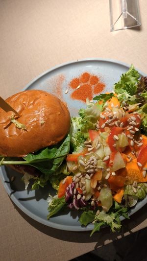  at Katzentempel Minden in Minden