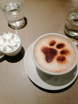  at Katzentempel Minden in Minden