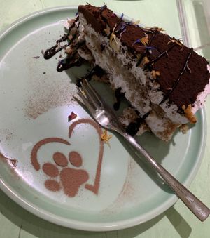 Tiramiezu   at Katzentempel Minden in Minden