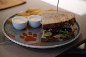  at Katzentempel Minden in Minden