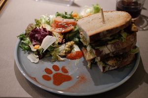  at Katzentempel Minden in Minden