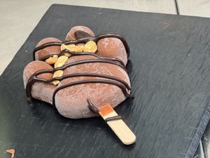 snickers paw  at Katzentempel Minden in Minden