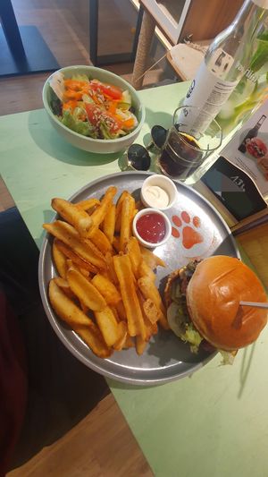  at Katzentempel Minden in Minden