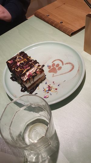  at Katzentempel Minden in Minden