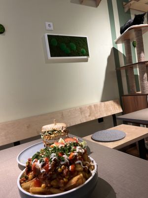   at Katzentempel Minden in Minden