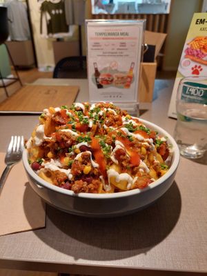 Net fries with chili sin carne at Katzentempel Minden in Minden