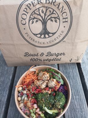  at Copper Branch - Nimes in Nimes