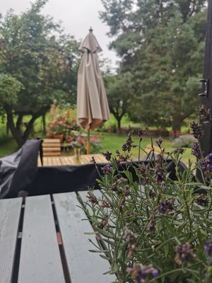  at Gartenlokal Elbeglück in Lenzerwische