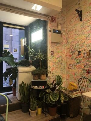   at Tanoa Café in Lisbon