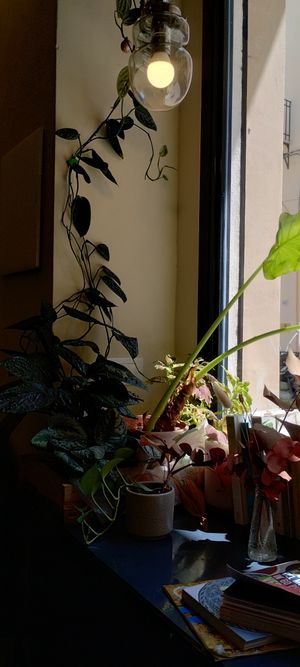  at Radici di Sicilia in Palermo