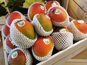  at Rolando Daržovės in Vilnius