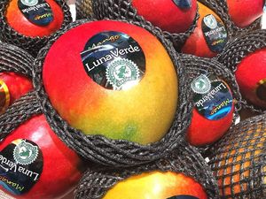  at Rolando Daržovės in Vilnius