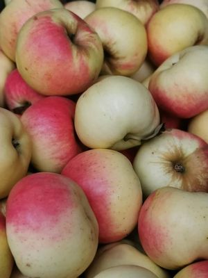  at Rolando Daržovės in Vilnius