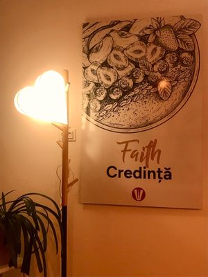  at Vegasmo in Brasov