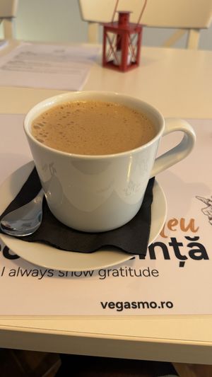   at Vegasmo in Brasov