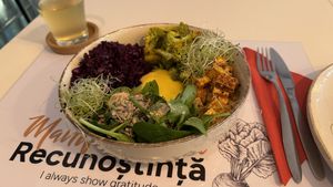   at Vegasmo in Brasov