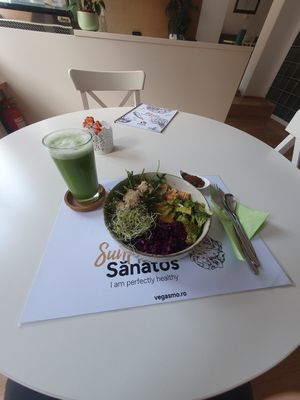 Raw bowl of pure goodness at Vegasmo in Brasov