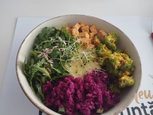  at Vegasmo in Brasov