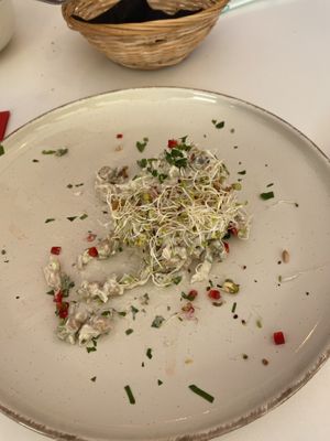   at Vegasmo in Brasov