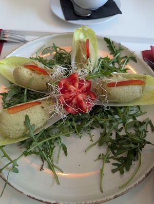 Endive at Vegasmo in Brasov