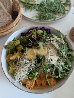  at Vegasmo in Brasov