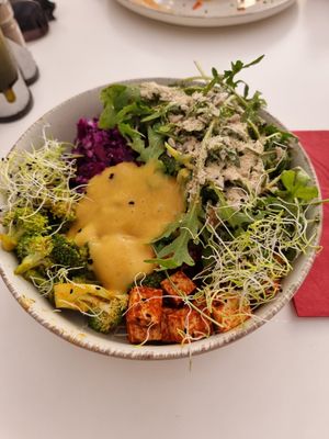  at Vegasmo in Brasov